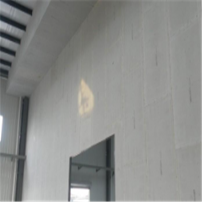 阳新宁波ALC板|EPS加气板隔墙与混凝土整浇联接的实验研讨